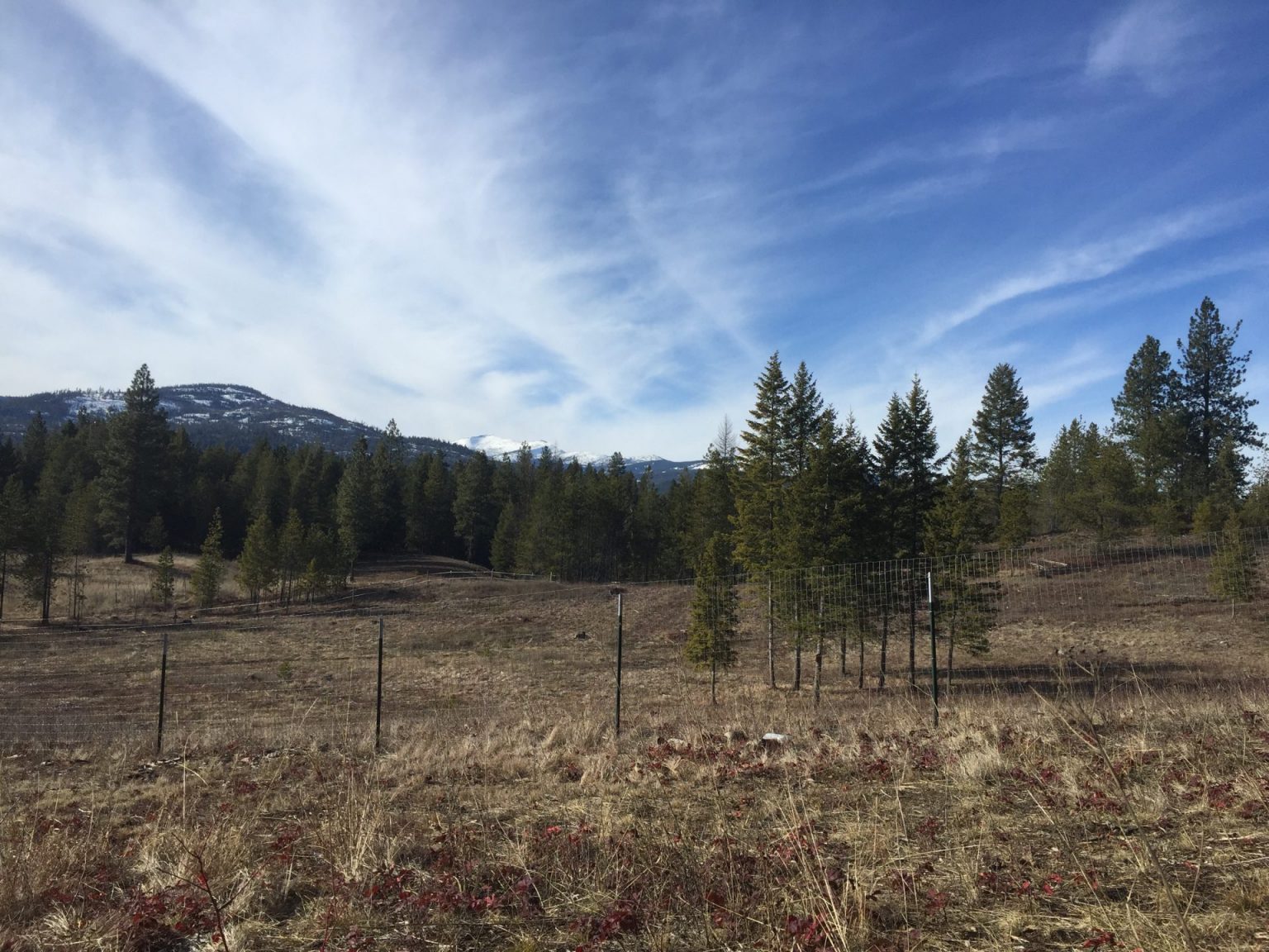 Quirky things about North Idaho – Northern Idaho | North Idaho Living ...